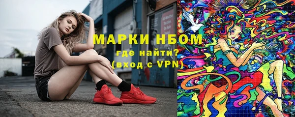 мяу мяу мука Аркадак
