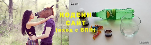 спиды Арсеньев