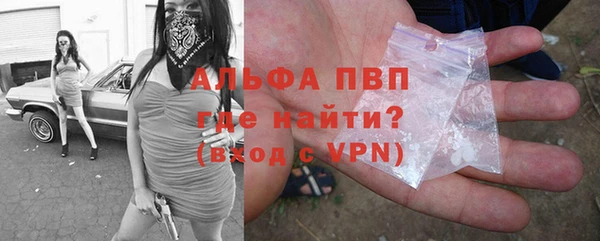 мяу мяу мука Аркадак